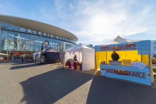 food festival