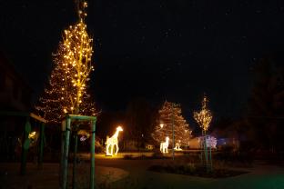 butky park