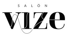 logo_vize